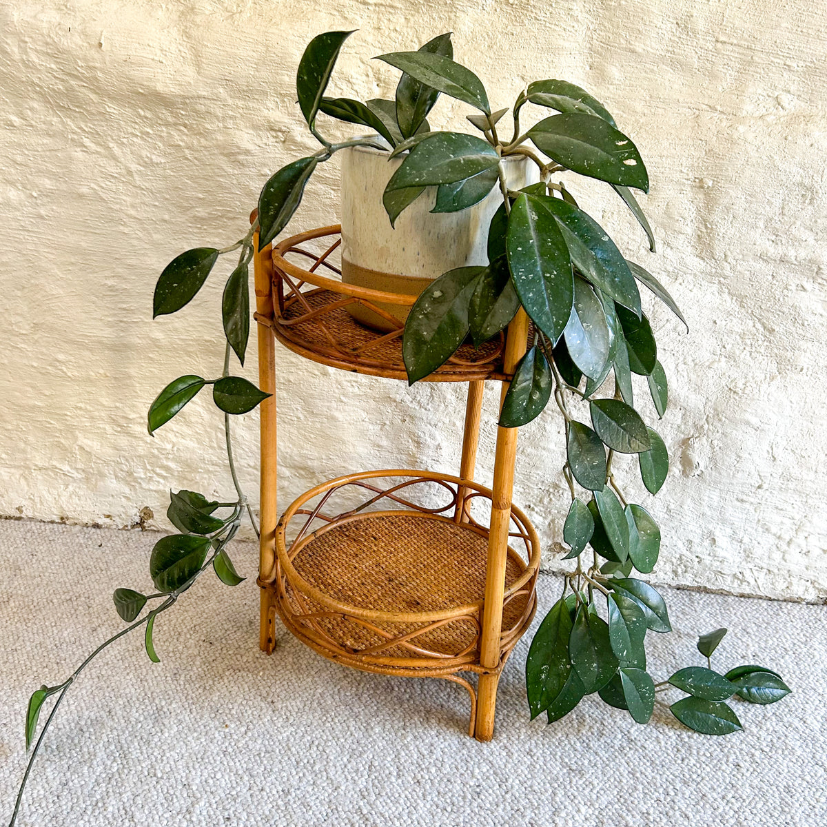 CANE PLANT STAND