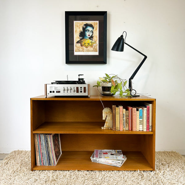 BOOKCASE STORAGE CABINET