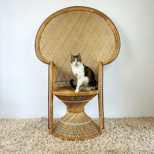 CANE PEACOCK CHAIR