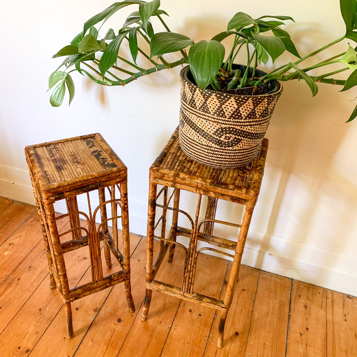 TIGER CANE PLANT STANDS