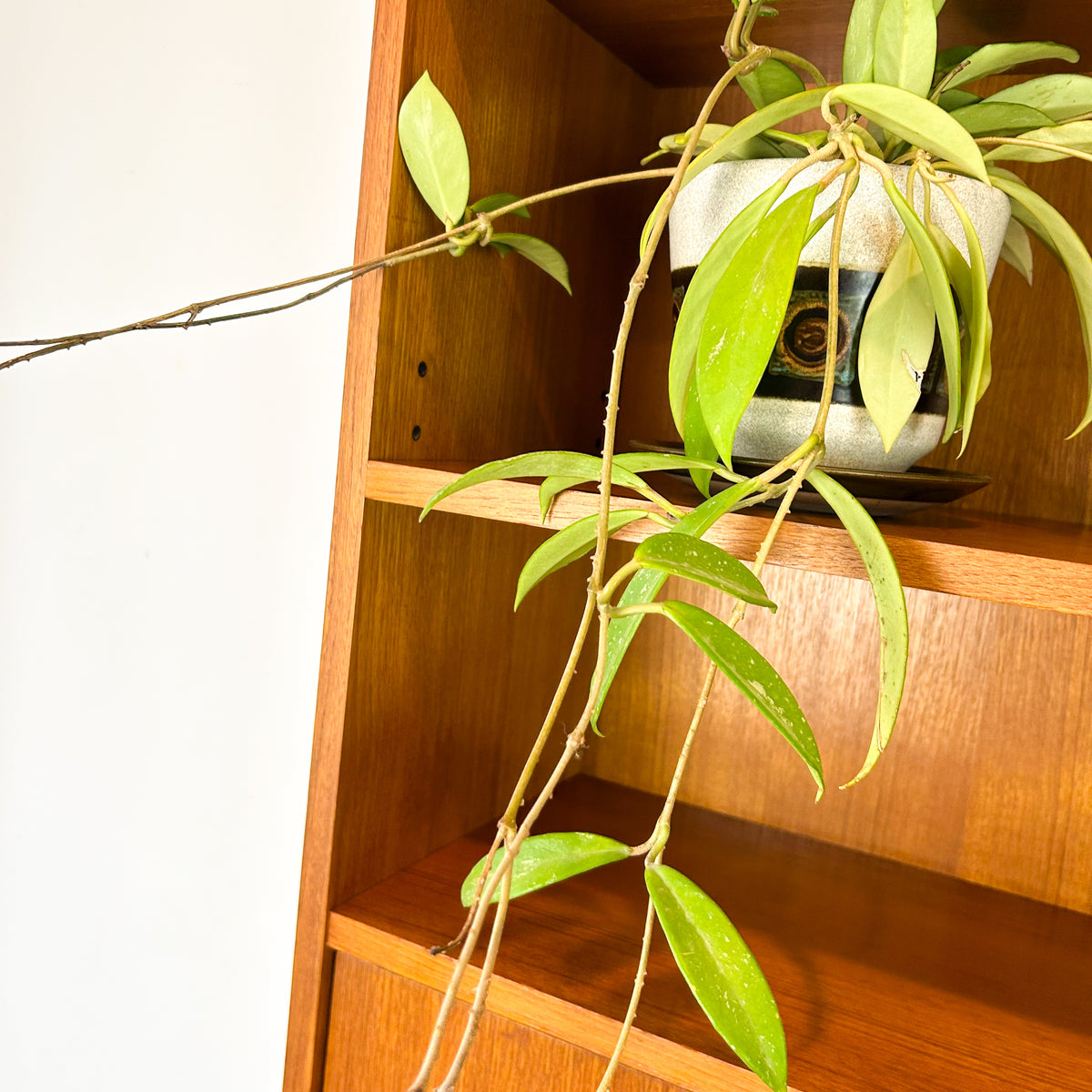 PARAMOUNT WALL UNIT - HEY JUDE WORKSHOP • Vintage furniture & objects Melbourne