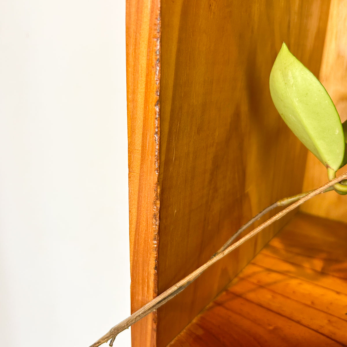 SOLID PINE ALCOVE BOOKCASE - HEY JUDE WORKSHOP • Vintage furniture & objects Melbourne