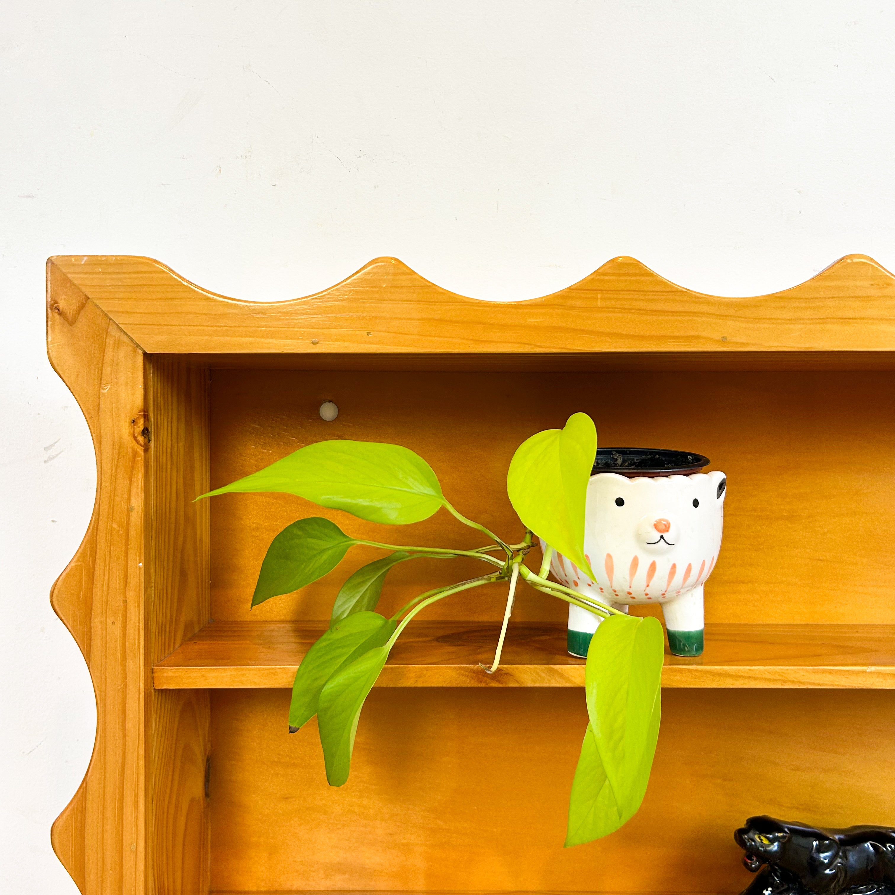 SHADOW BOX WITH SCALLOPED EDGE - HEY JUDE WORKSHOP • Vintage furniture & objects Melbourne