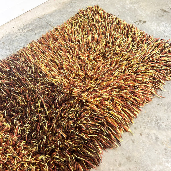 SHAG RUG