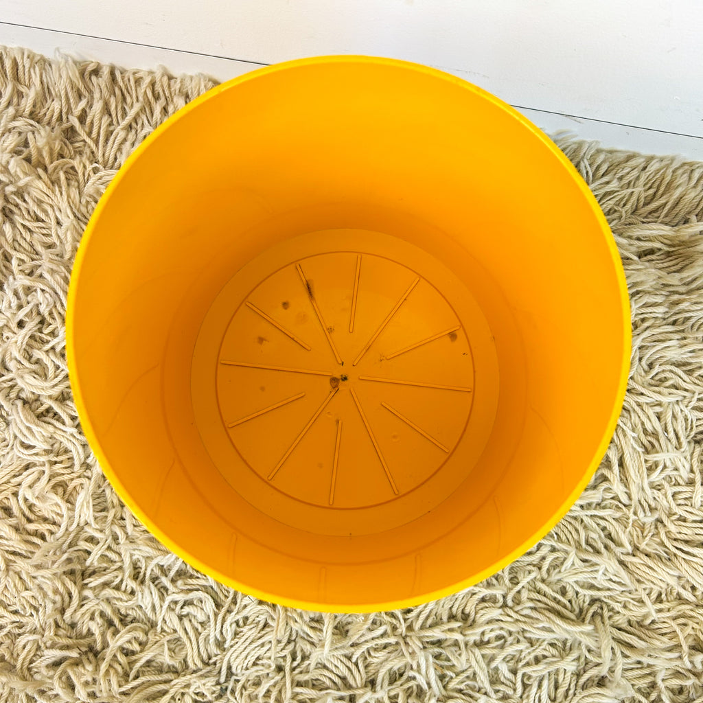 KARTELL WASTE PAPER BIN 4660 - HEY JUDE WORKSHOP • Vintage furniture & objects Melbourne