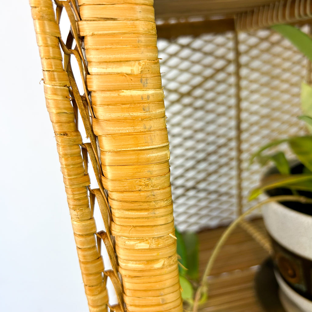 CANE HUTCH BOOKSHELF - HEY JUDE WORKSHOP • Vintage furniture & objects Melbourne