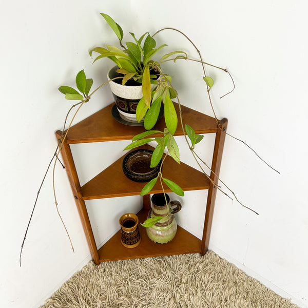 SMALL CORNER SHELVING