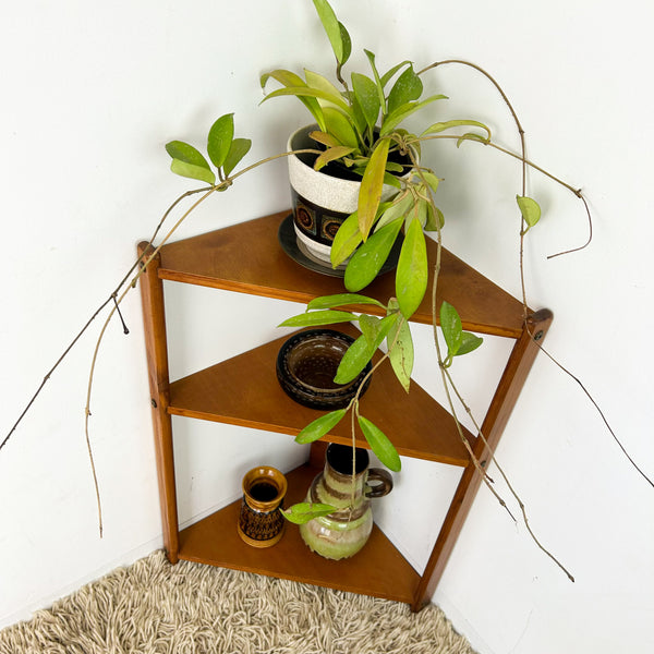 SMALL CORNER SHELVING