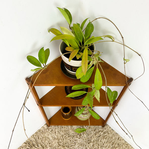 SMALL CORNER SHELVING