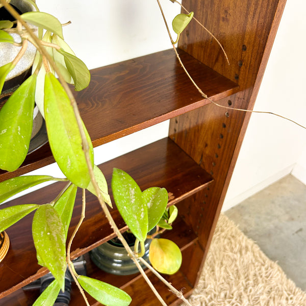 BOOKCASE CABINET