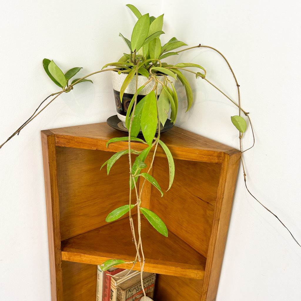 CORNER SHELVING UNIT - HEY JUDE WORKSHOP • Vintage furniture & objects Melbourne