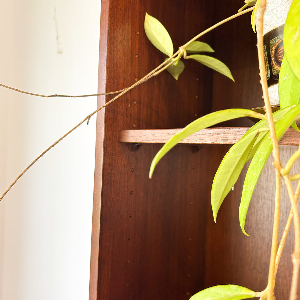 PARKER WALL UNIT