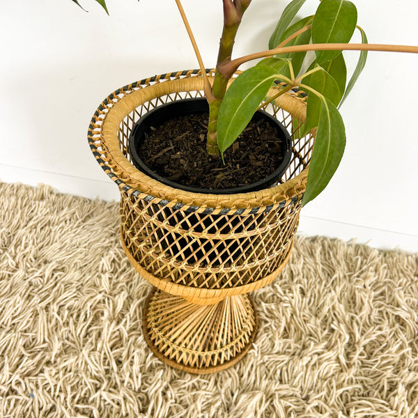 TWISTED CANE PLANTER SMALL