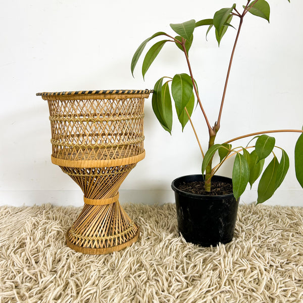 TWISTED CANE PLANTER SMALL