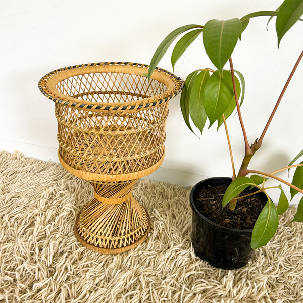 TWISTED CANE PLANTER SMALL