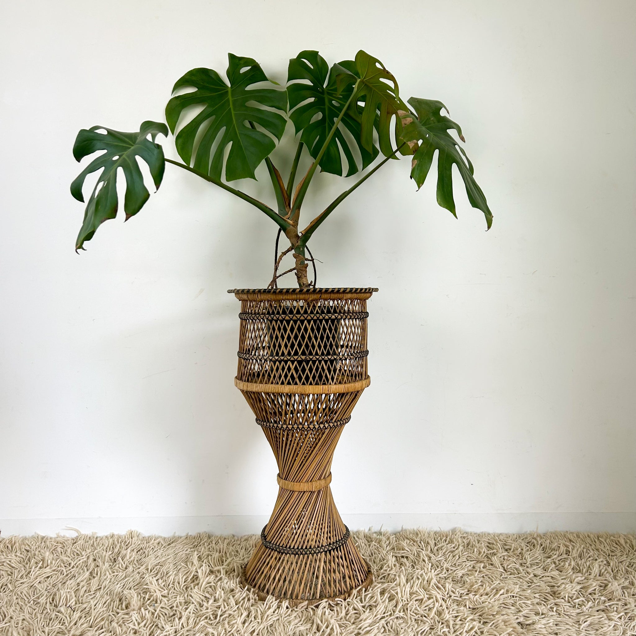 TWISTED CANE PLANTER LARGE