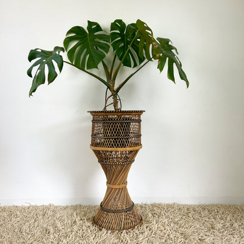 TWISTED CANE PLANTER LARGE