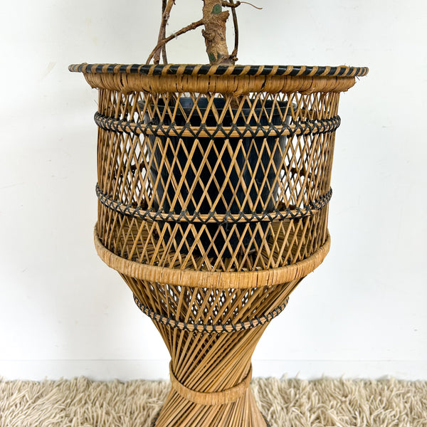 TWISTED CANE PLANTER LARGE