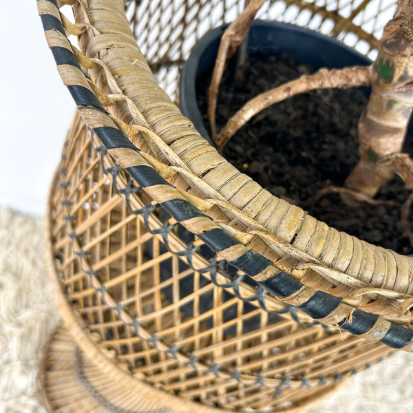 TWISTED CANE PLANTER LARGE