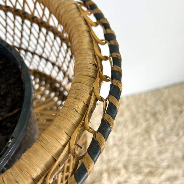TWISTED CANE PLANTER LARGE