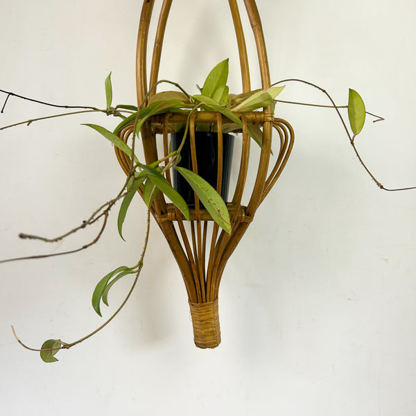 CANE POT HANGER