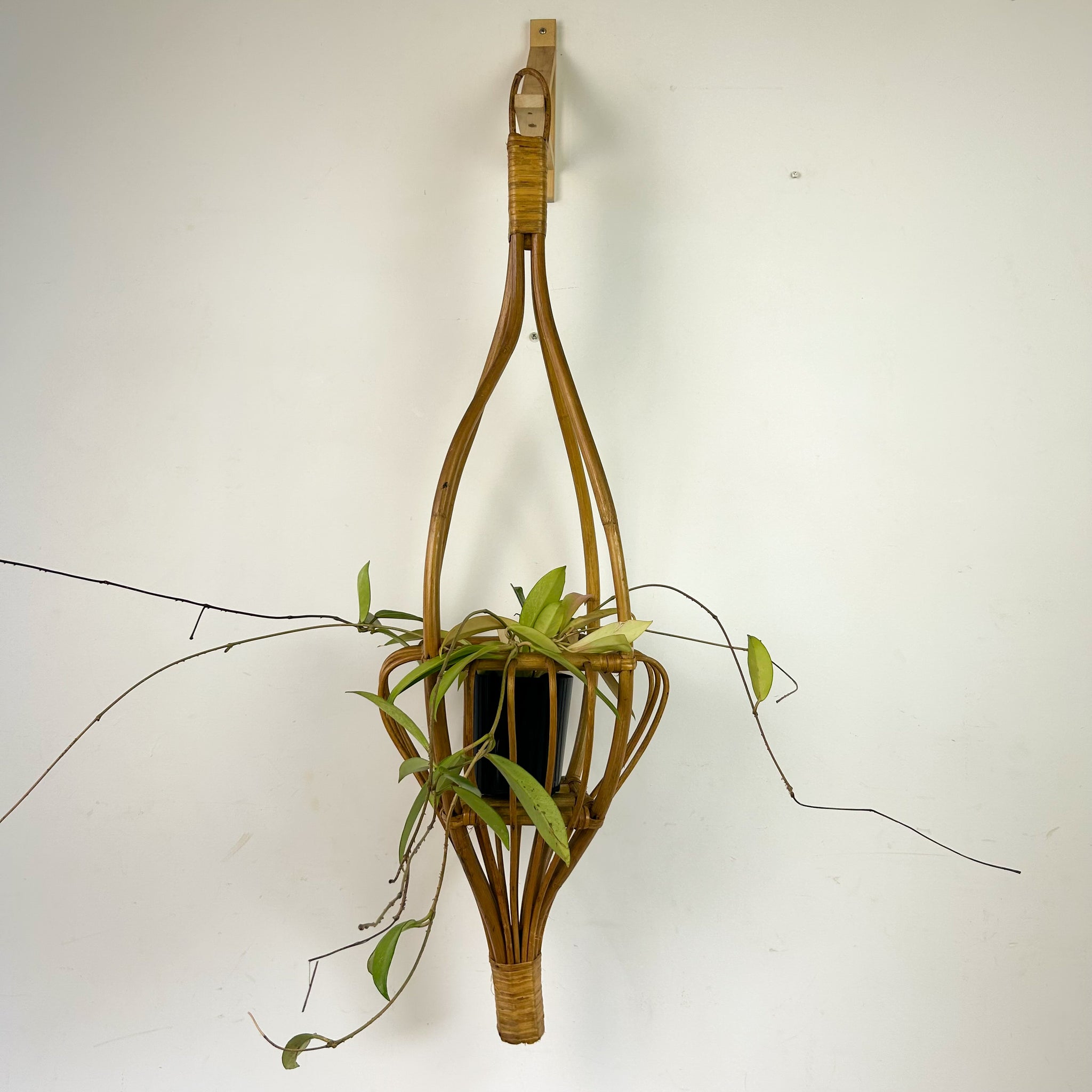 CANE POT HANGER
