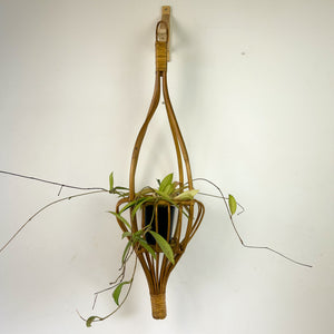 CANE POT HANGER