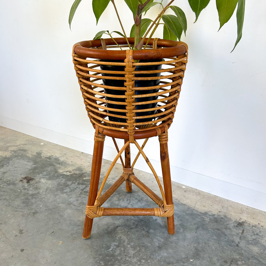 CANE PLANTER - HEY JUDE WORKSHOP • Vintage furniture & objects Melbourne