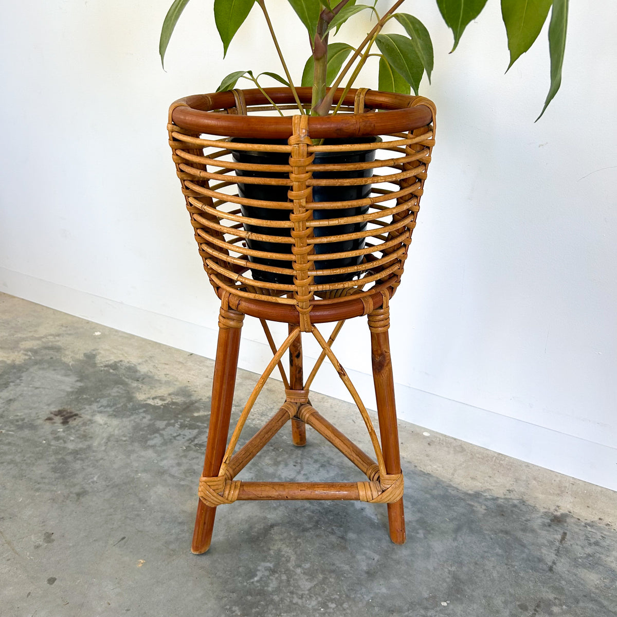 CANE PLANTER - HEY JUDE WORKSHOP • Vintage furniture & objects Melbourne