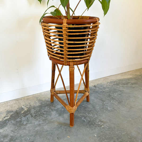 CANE PLANTER