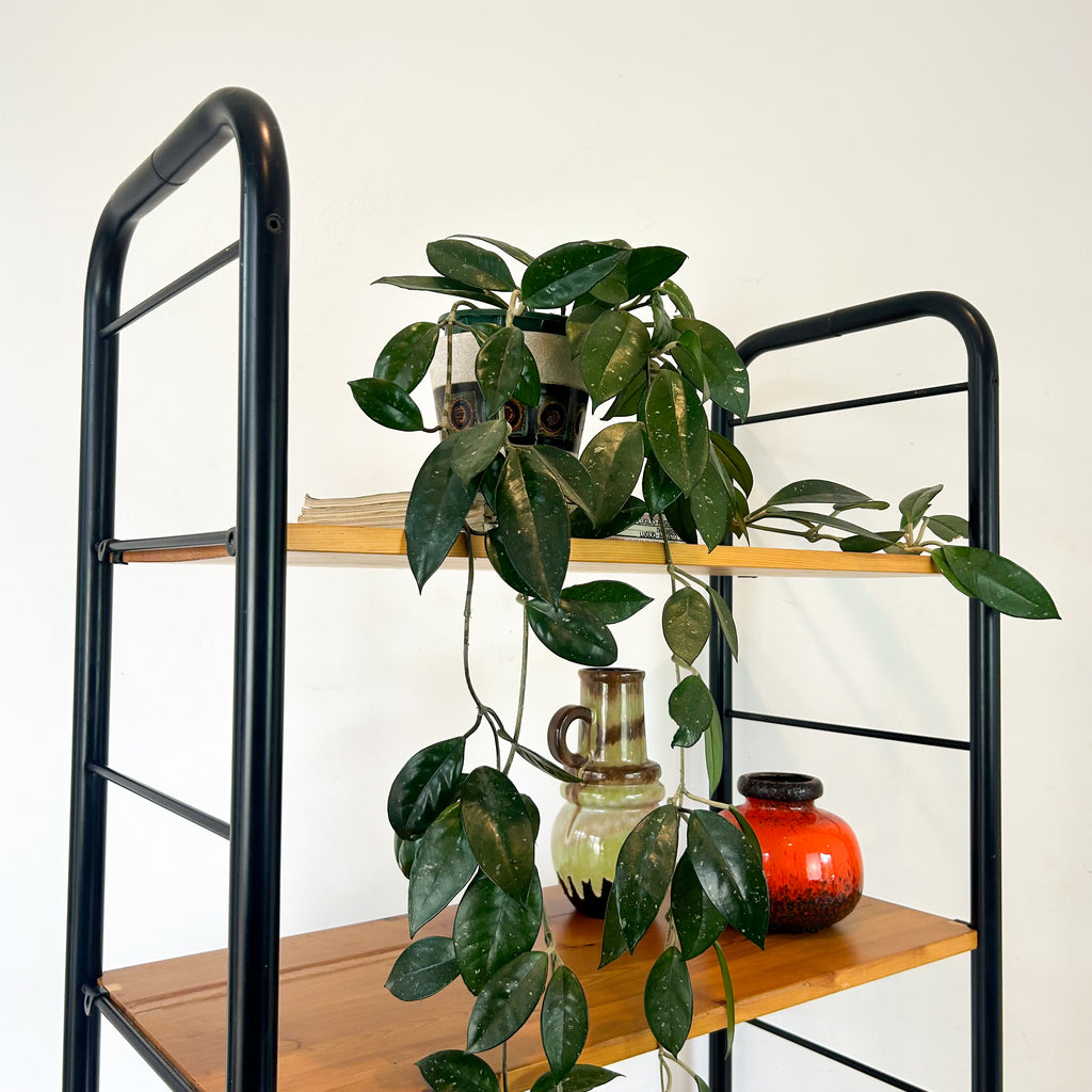 IKEA NIKLAS SHELVING - HEY JUDE WORKSHOP • Vintage furniture & objects Melbourne