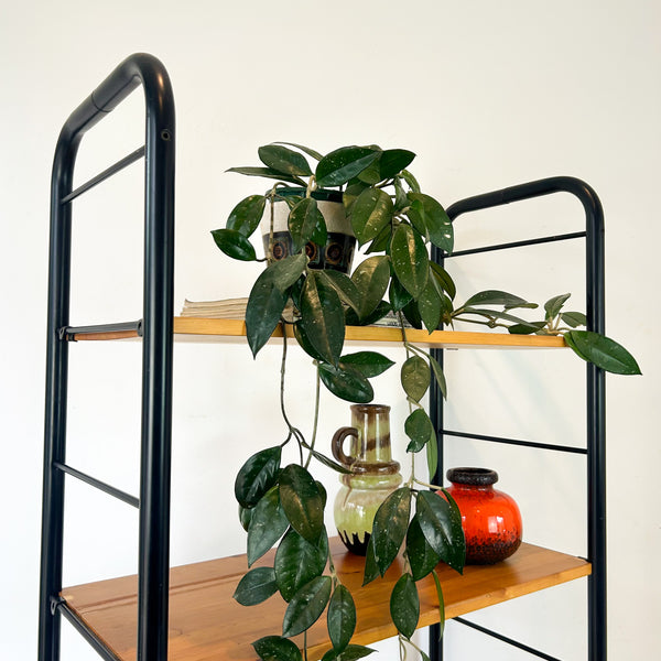 IKEA NIKLAS SHELVING