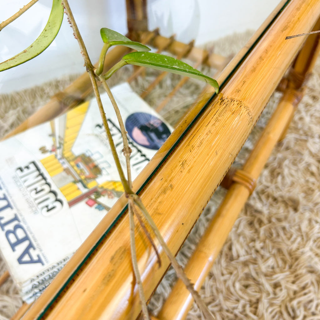 CANE COFFEE TABLE - HEY JUDE WORKSHOP • Vintage furniture & objects Melbourne