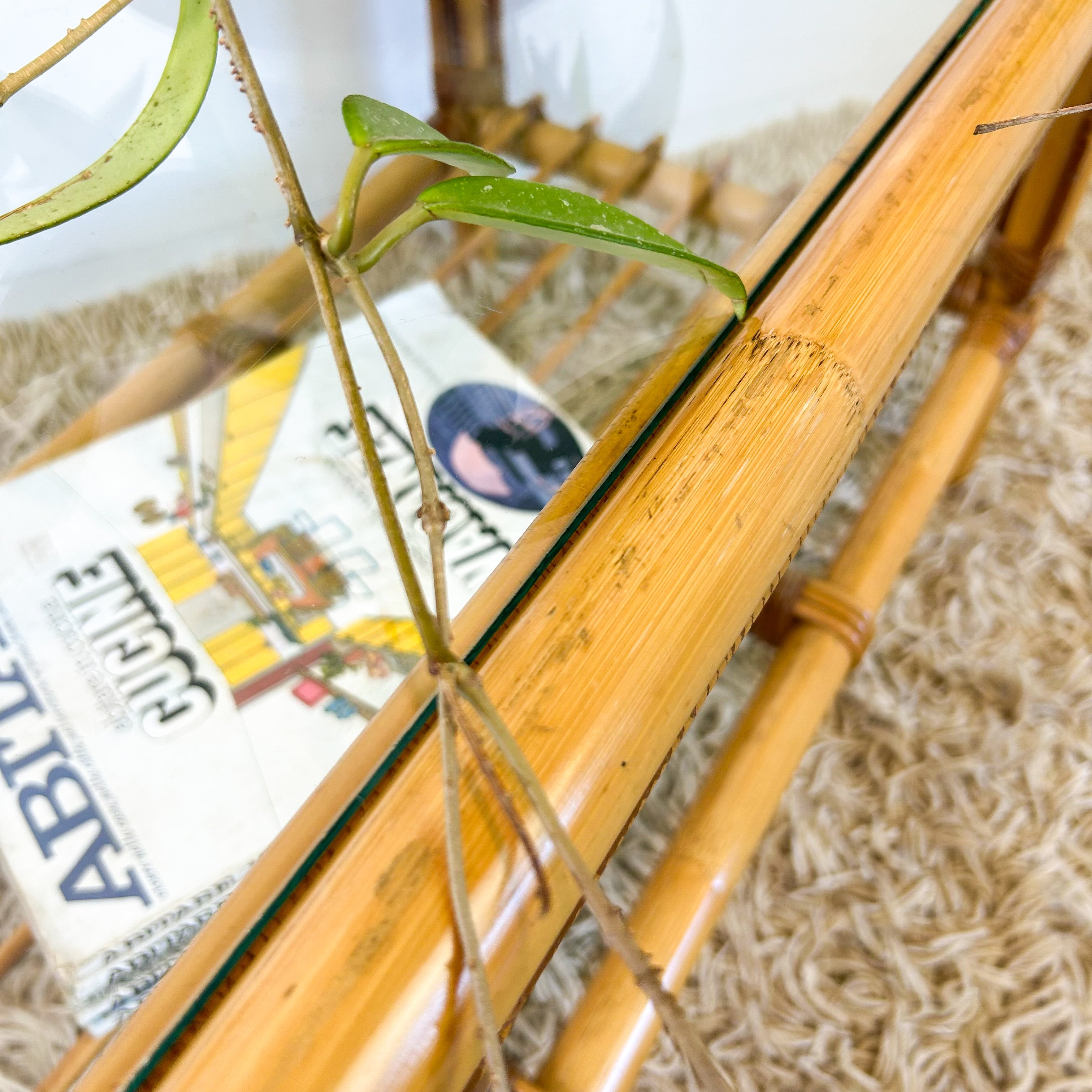 CANE COFFEE TABLE - HEY JUDE WORKSHOP • Vintage furniture & objects Melbourne