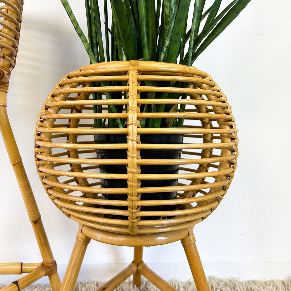 CANE PLANTERS - HEY JUDE WORKSHOP • Vintage furniture & objects Melbourne