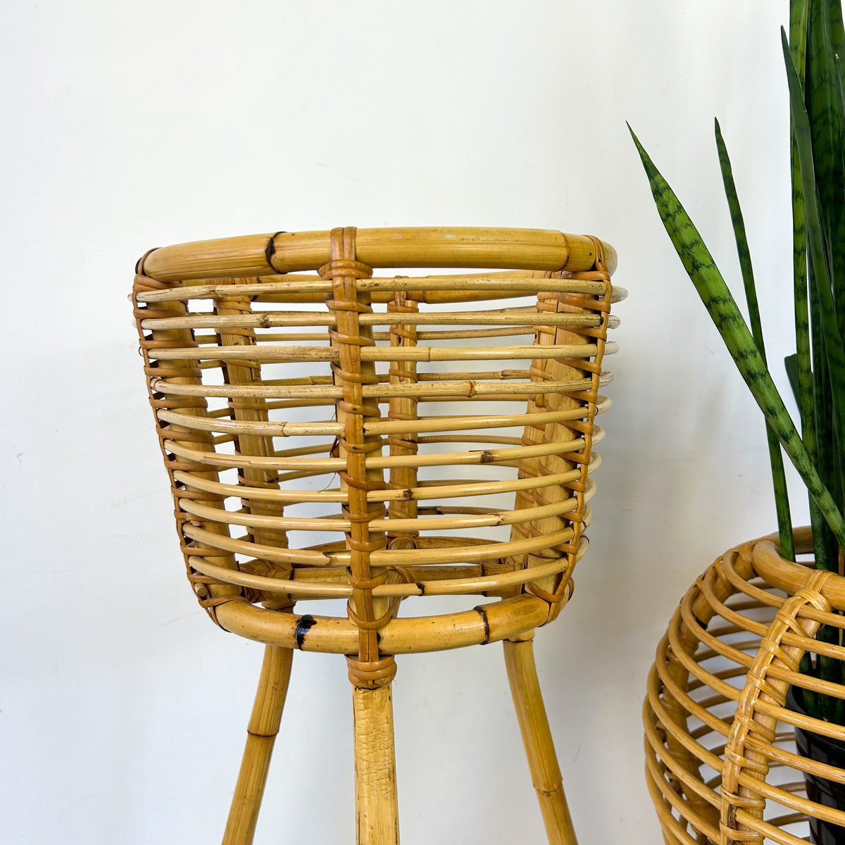 CANE PLANTERS - HEY JUDE WORKSHOP • Vintage furniture & objects Melbourne