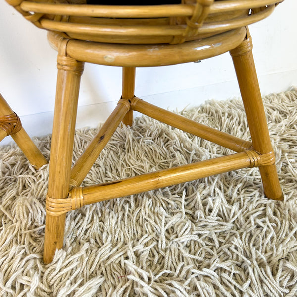 CANE PLANTERS