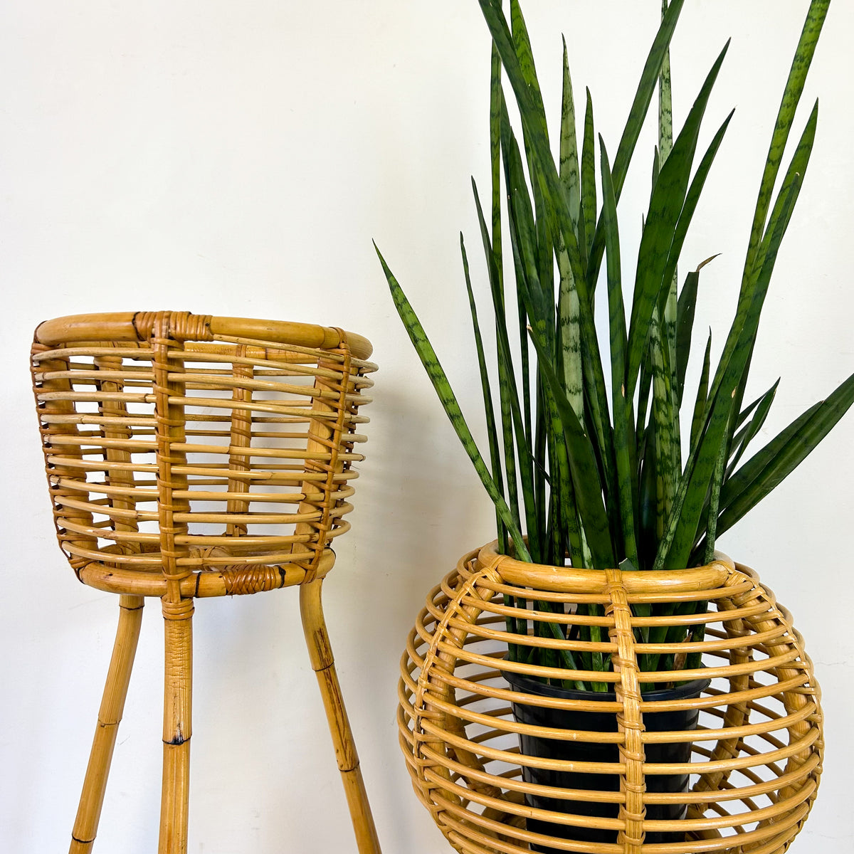 CANE PLANTERS - HEY JUDE WORKSHOP • Vintage furniture & objects Melbourne