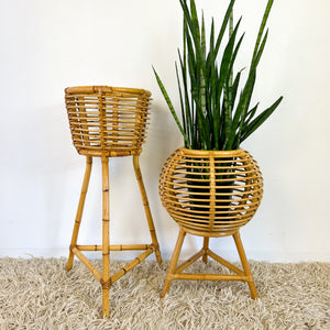 CANE PLANTERS