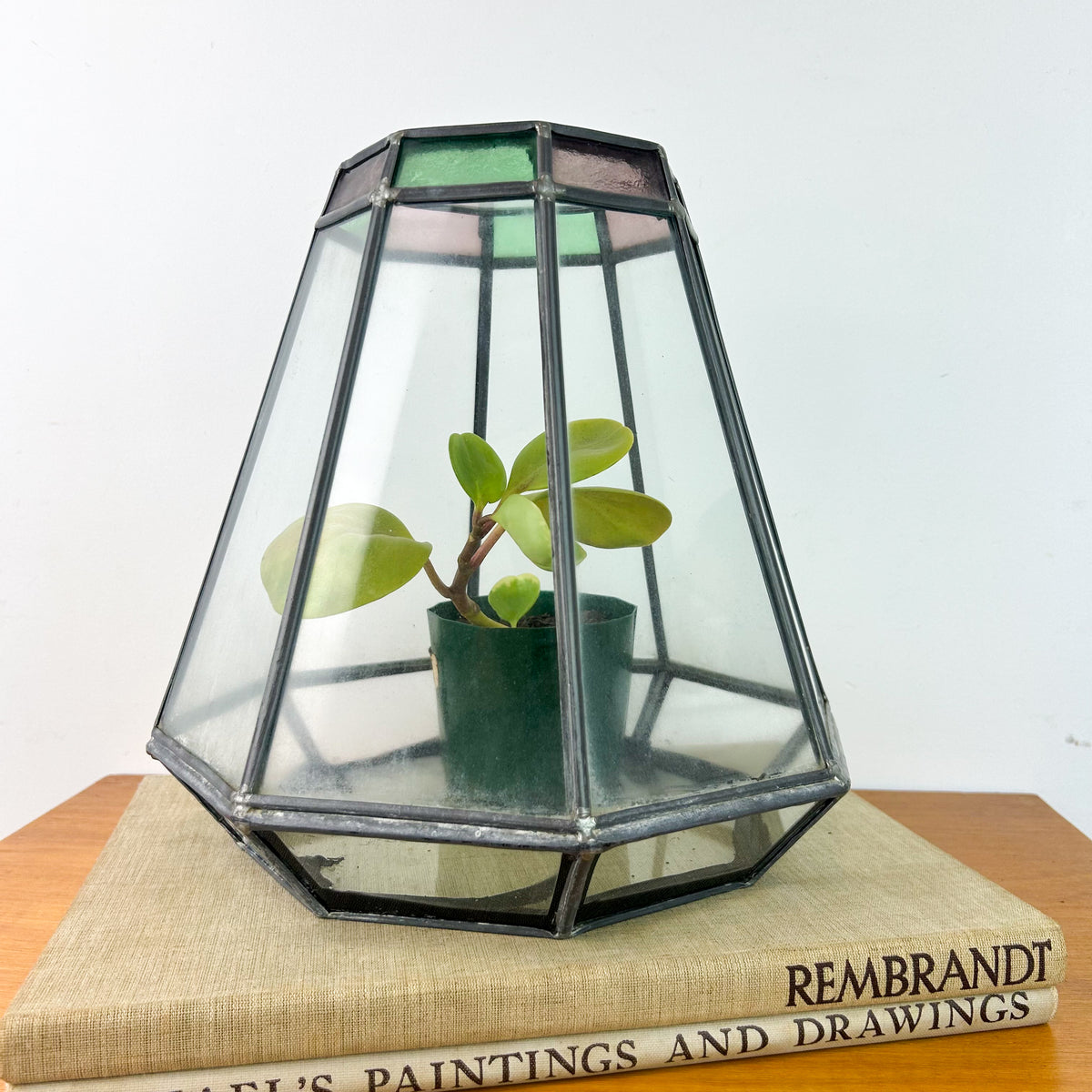 LEADLIGHT TERRARIUM PLANTER - HEY JUDE WORKSHOP • Vintage furniture & objects Melbourne