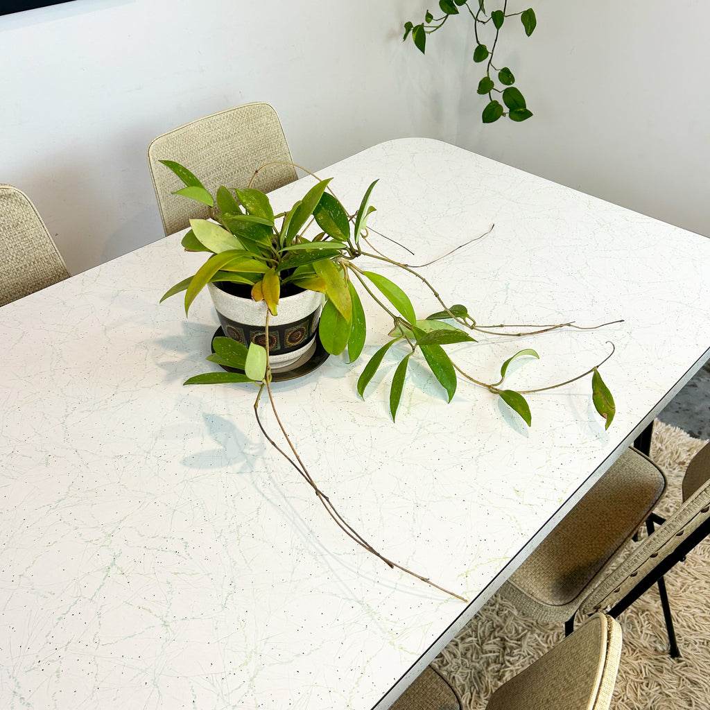 1950s LAMINATE DINING TABLE & CHAIRS - HEY JUDE WORKSHOP • Vintage furniture & objects Melbourne