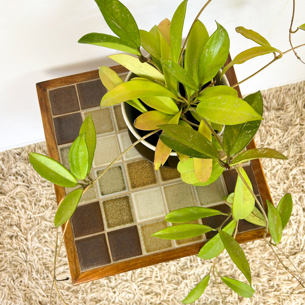 TILED SIDE TABLE - HEY JUDE WORKSHOP • Vintage furniture & objects Melbourne