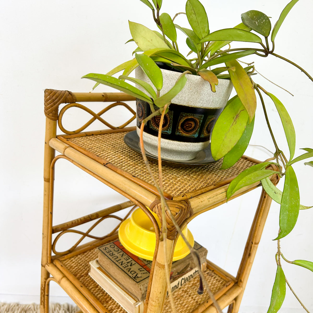 CANE SHELVES - HEY JUDE WORKSHOP • Vintage furniture & objects Melbourne