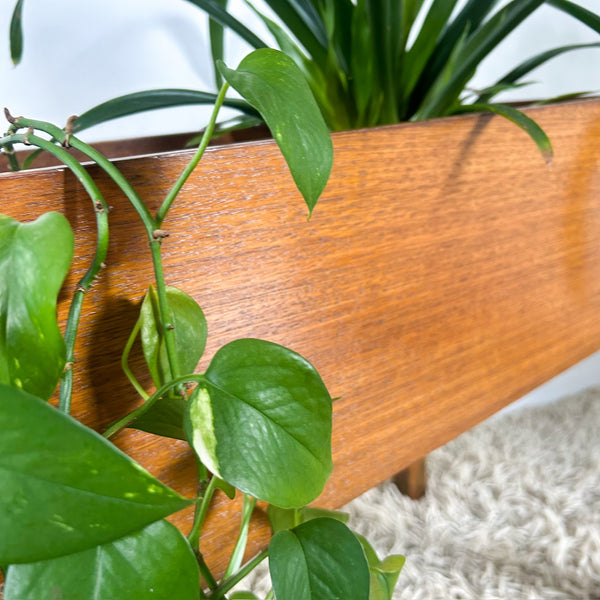 LARGE TIMBER PLANTER BOX