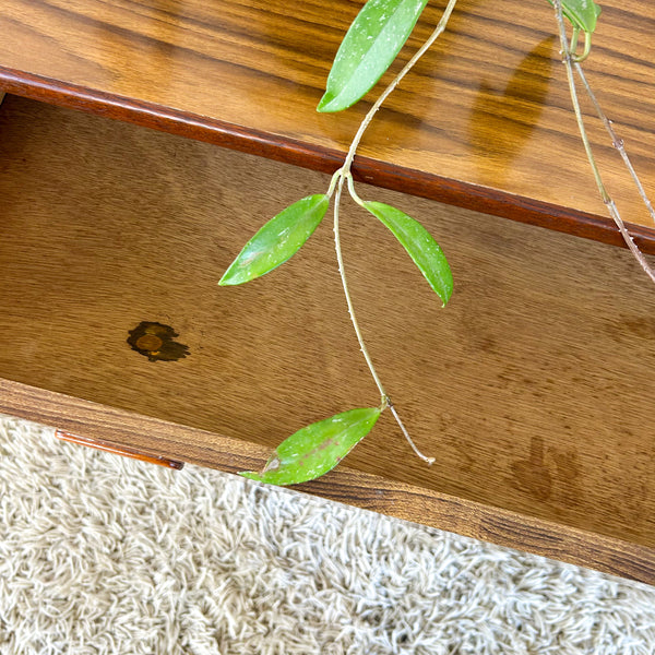 ALROB DRESSER DRAWERS