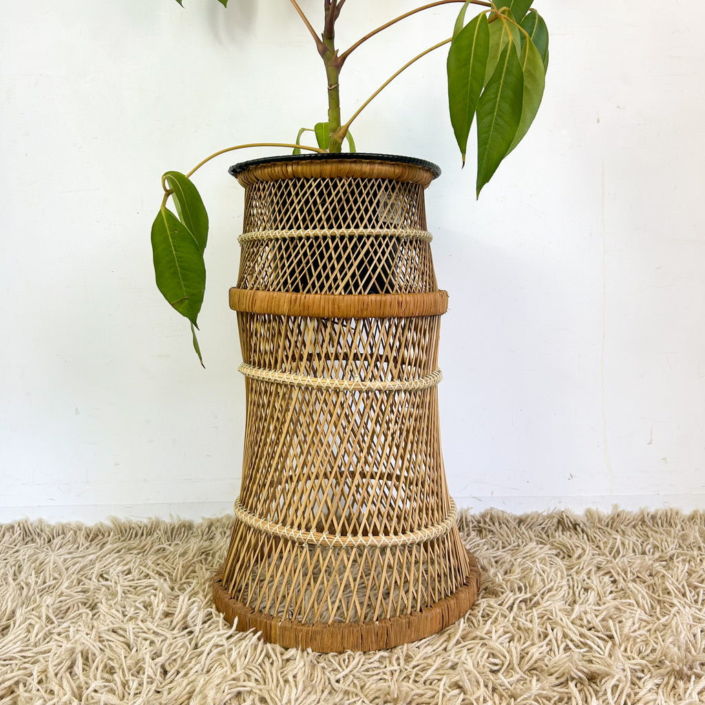 CANE PLANTER