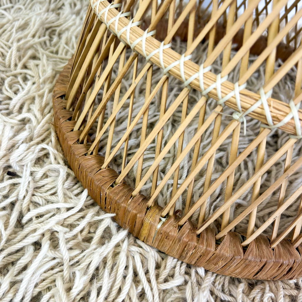 CANE PLANTER