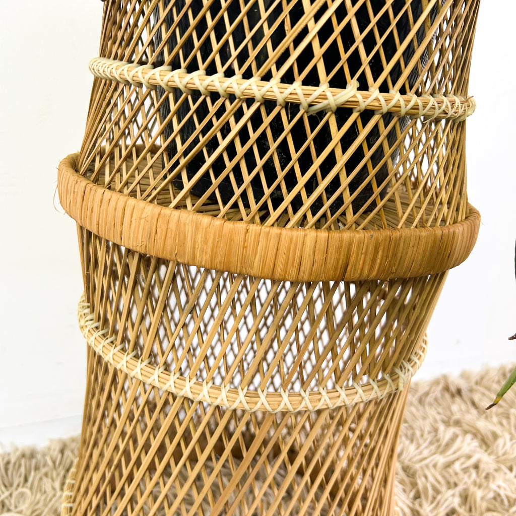 CANE PLANTER