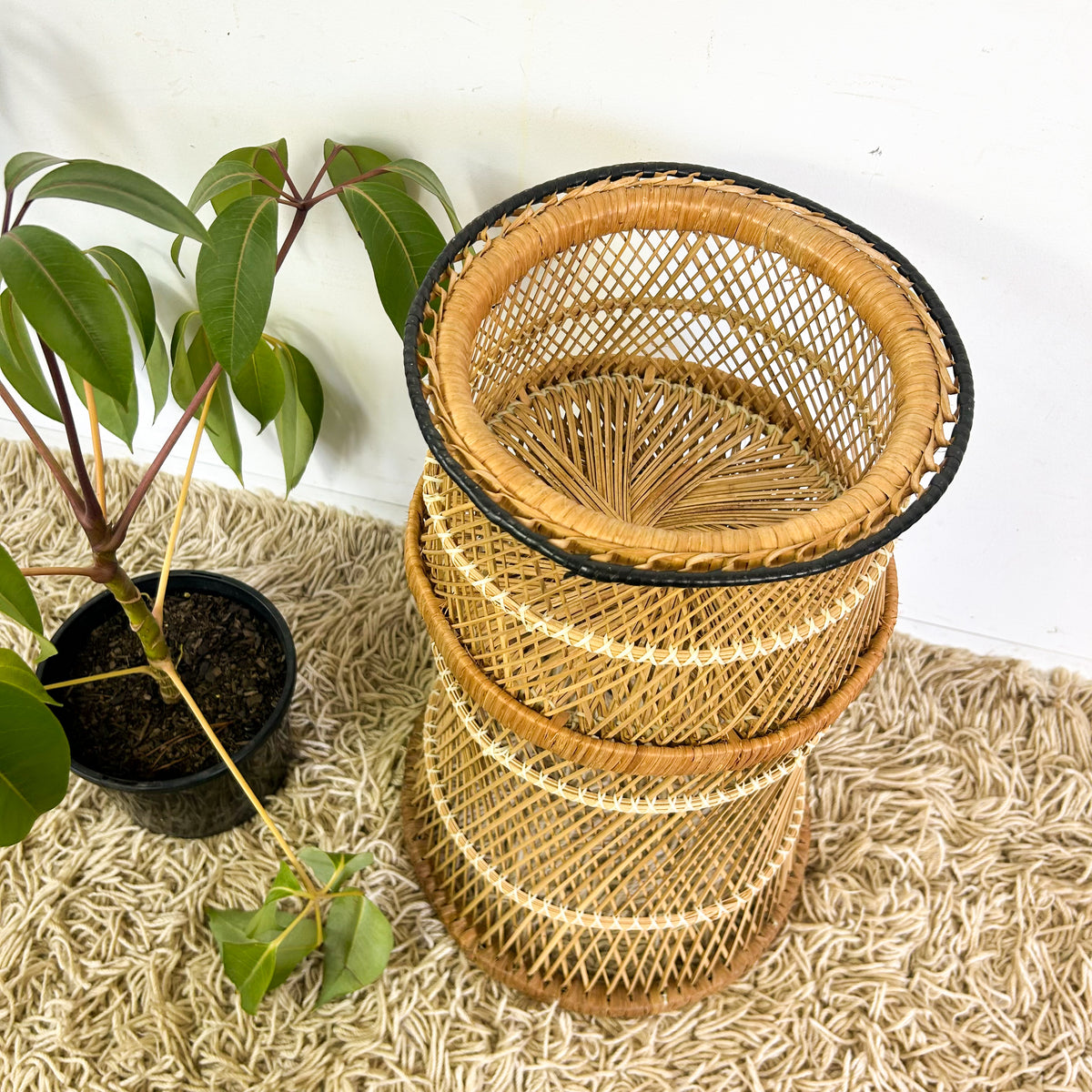 CANE PLANTER