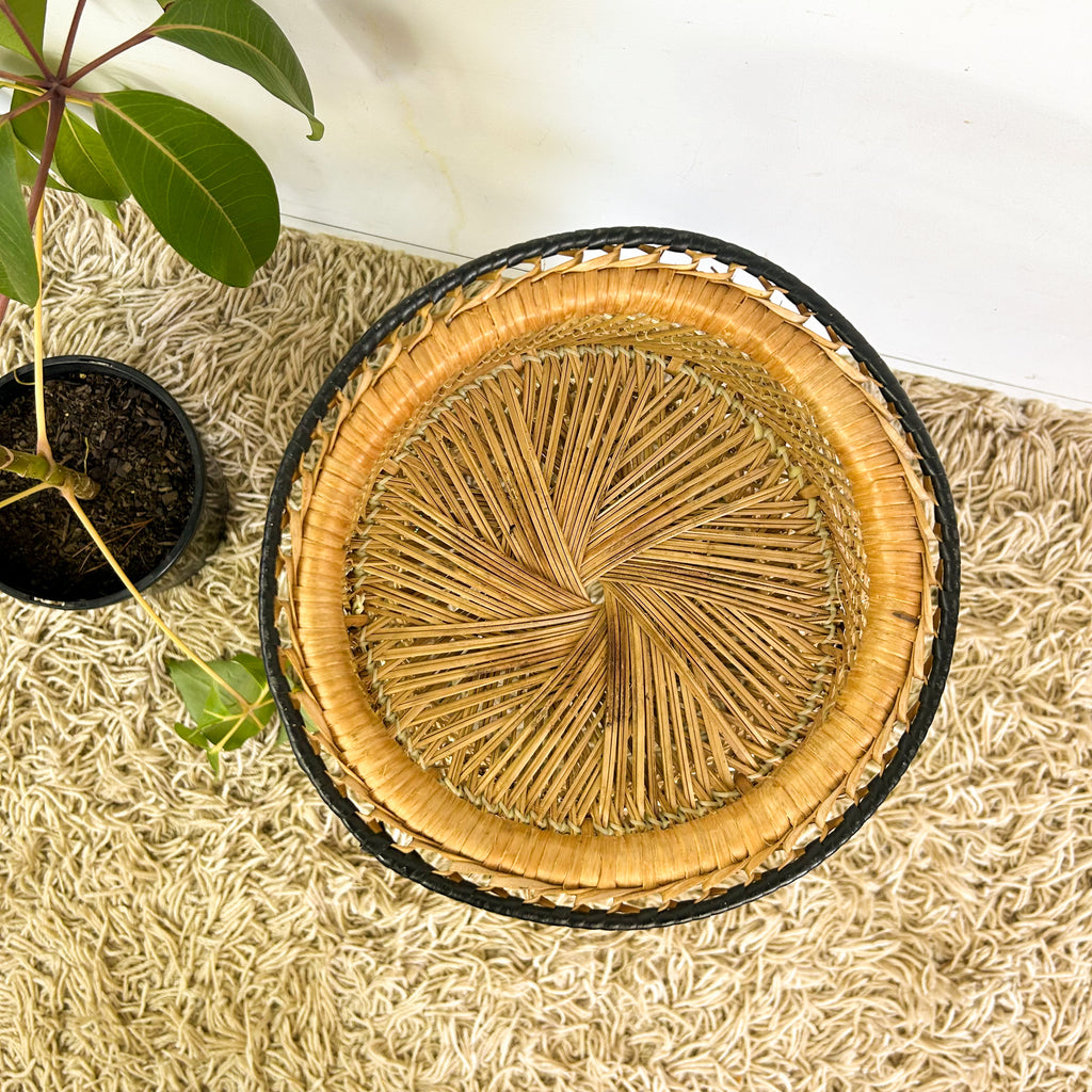CANE PLANTER